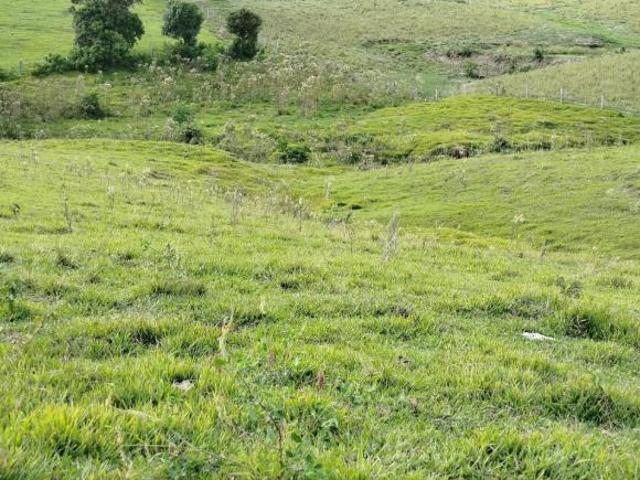 Chácara Santo Antônio da Platina