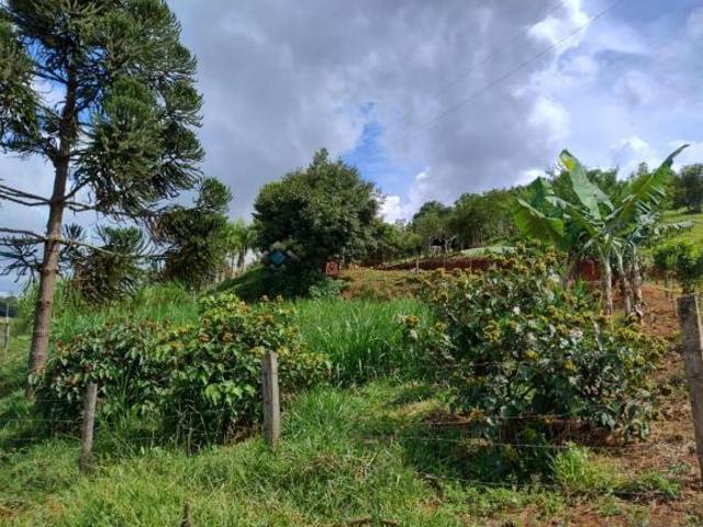 Chacara, Serrado, Alterosa, MG