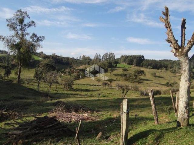Chácara/ sítio área rural de 100.000m², Carlos Barbosa