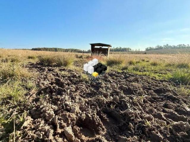 Chácara Sítio Fazenda a Venda Em São Gabriel Rio Grande do Sul