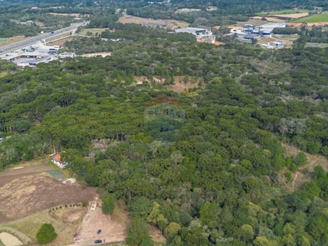 Chácara | Terreno 21.600 m² em São José dos Pinhais