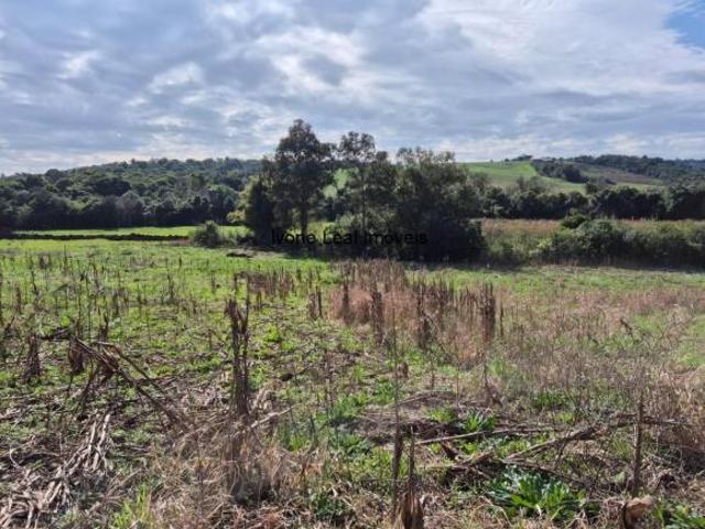 Chácara Venda em Restinga Seca RS: Oportunidade única no bairro Restinga Seca!