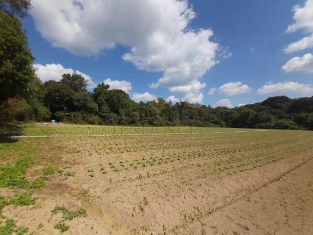 Chácara venda, 63.708 m2, Contenda São José dos Pinhais/PR