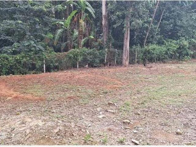 Chacara, Zona Rural, Jacutinga, MG