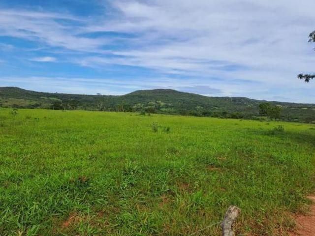 CHACARA 14,3 HA 3 ALQUEIRES MUNICIPIO CALDAS NOVAS GO