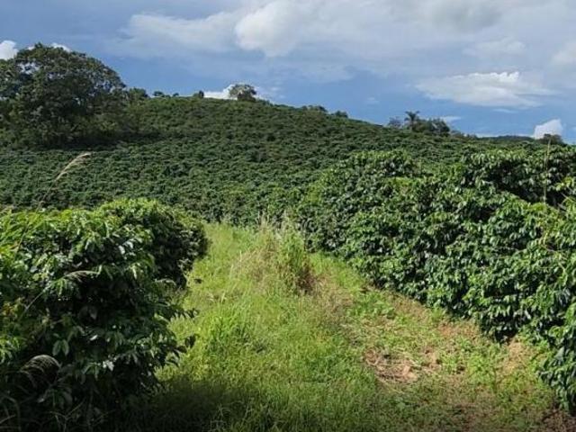 Fazenda