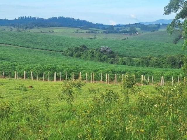 Fazenda