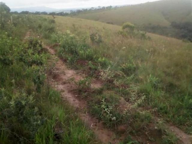 Fazenda
