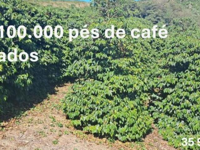 Fazenda