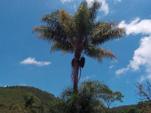 Chácara para venda em Mogi das Cruzes, Mogi das Cruzes