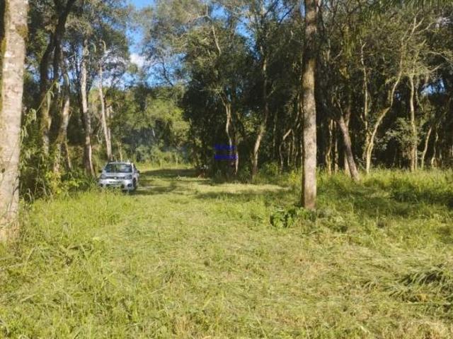 CHÁCARA 18.500M² ESCRITURADA, QUITANDINHA, SÓ 199 MIL, ACEITA PERMUTA
