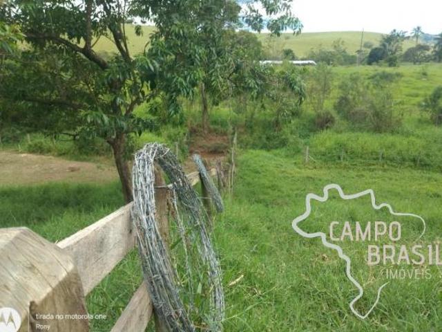 CHÁCARA 12.000M² COM PASTO FORMADO EM PARAIBUNA !