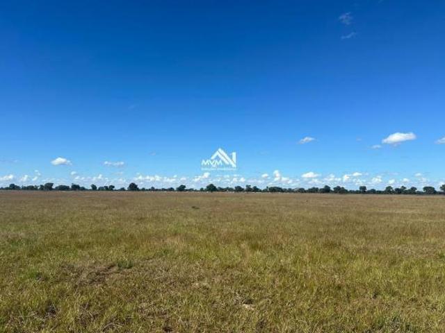 Fazenda