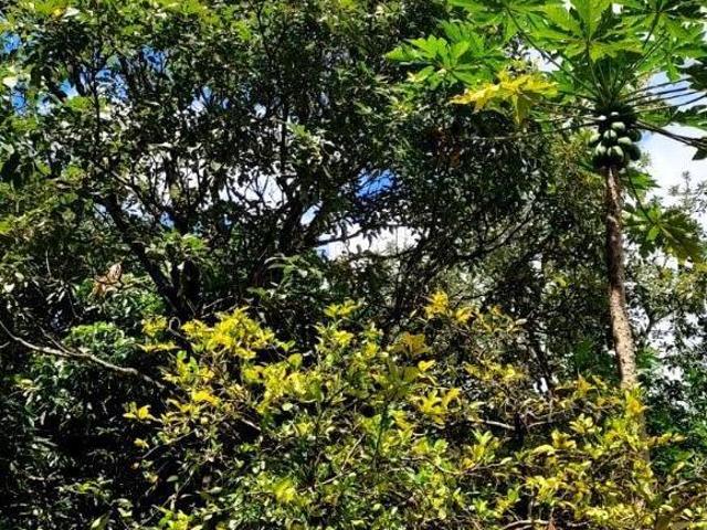 CHACÁRA 1.000 M² EM PIRACEMA/MG UM LUGAR PRONTO PARA DESCANSAR E APROVEITAR O MELHOR DO INTERIOR