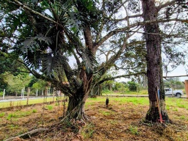 Chacara, 2700m2 Rancho Rio Itapetininga, Sarapuí, SP
