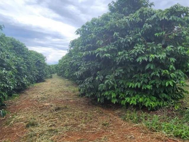 Fazenda