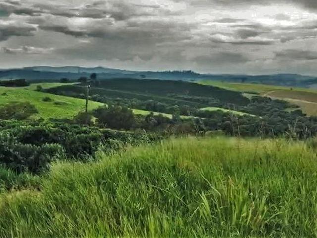 Fazenda