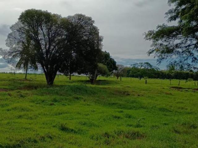 Chácara 23,232 M2 Uniflor PR