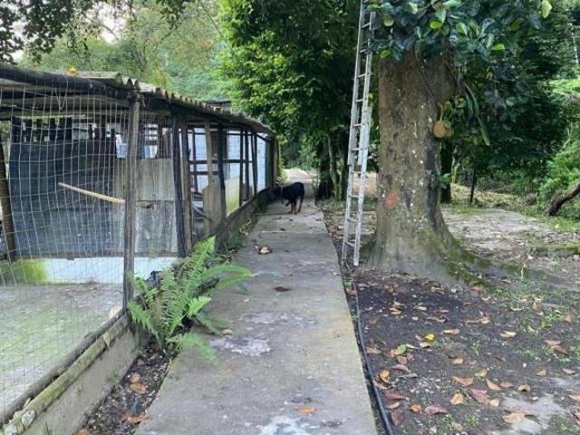 Chacara, 2, Pedro de Toledo, SP