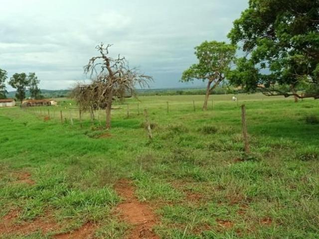 Fazenda