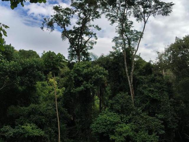 Terreno para venda em Ibitiúra de Minas