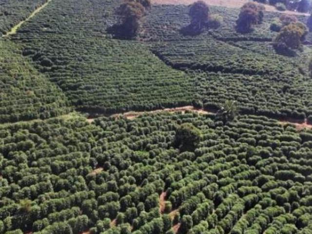 Fazenda