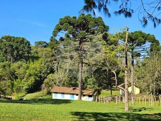 CHÁCARA 45.000 m² • ROÇA VELHA • CONTENDA / SJP