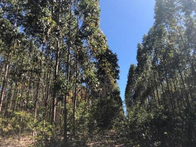 Fazenda