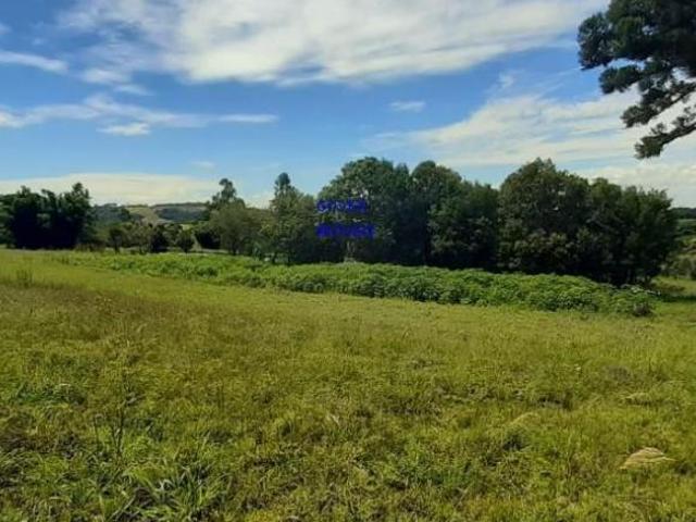 CHÁCARA 42 MIL M², RODOVIA DA MAÇÃ, ASFALTO BREVE, TANQUE GRANDE PEIXE, CASA, ÁREA PLANA, PLANTIO, F