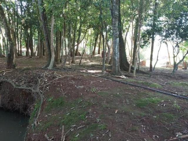Chácara 4.000 mil m², com casa localizado em Enéas Marques PR