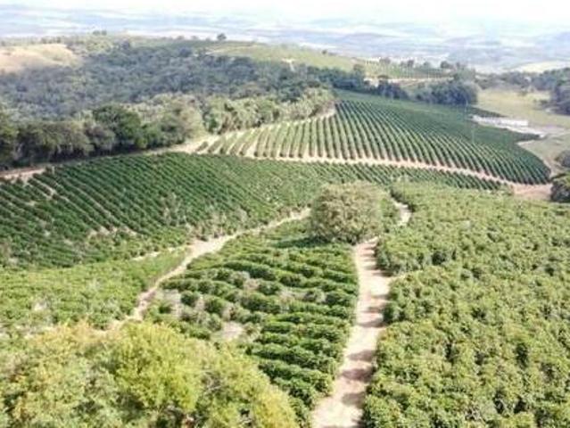 Fazenda