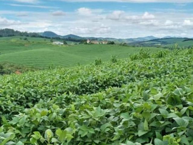Fazenda