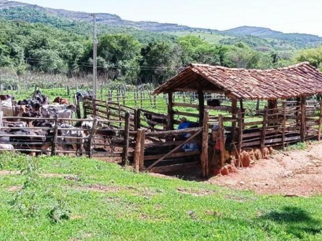 Fazenda