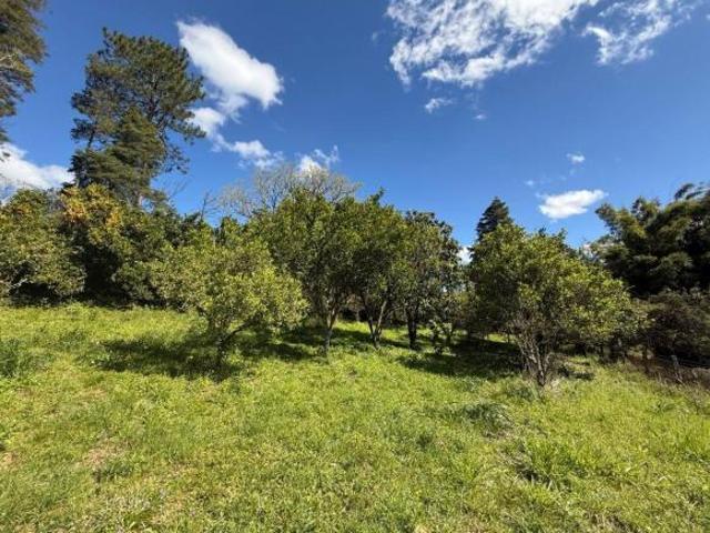 CHÁCARA 5.000 M² SANTA CRUZ DA CONCÓRDIA TAQUARA RS