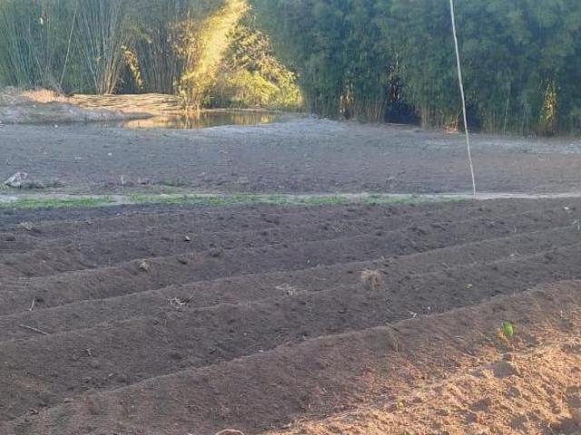 CHÁCARA 5.000m² PLANA C/ LAGOA DE PEIXES E TERRA DE CULTURA À VENDA EM PIRACEMA/MG