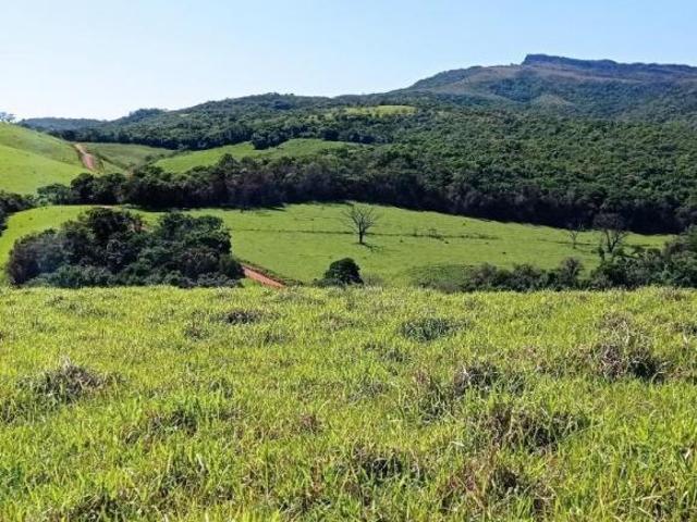 Fazenda
