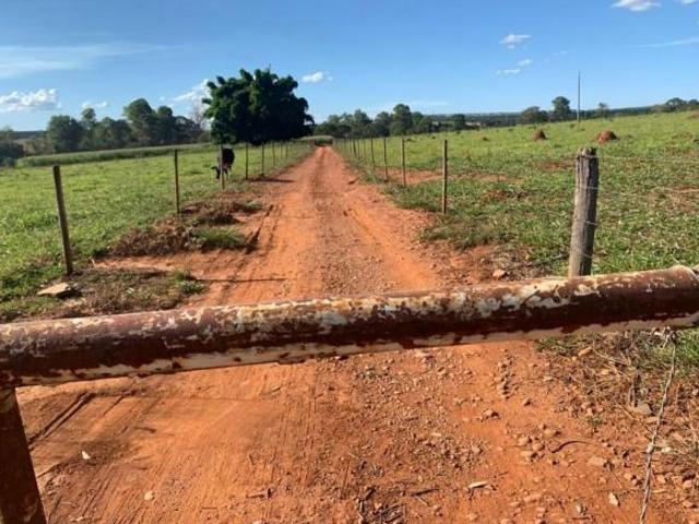 Fazenda