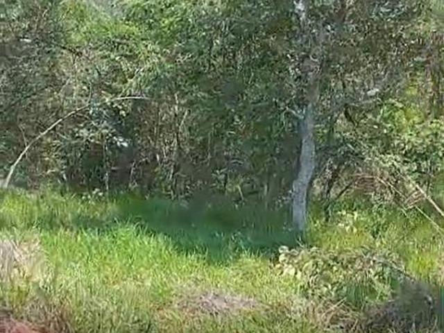 Sítio