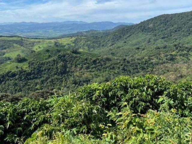 Fazenda