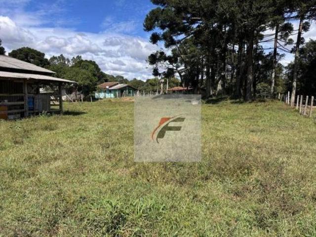 Chácara 6,1 alqueires por R$ 1.100.000 Zona Rural Agudos do Sul/PR
