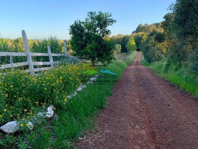 CHÁCARA 6ha BEIRA DA BR 285 COM BENFEITORIAS E PARTE DAS TERRAS ARRENDADAS, PRÓPRIA PARA PLANTIO