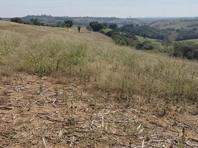 Fazenda
