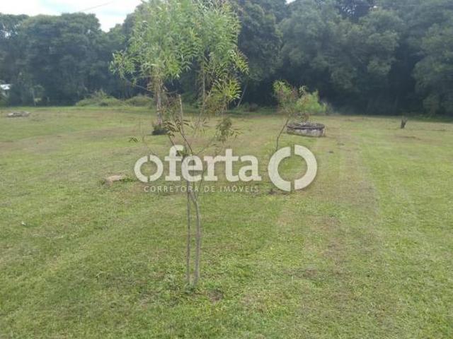 Chácara/Sitio na Lapa / Mato Preto