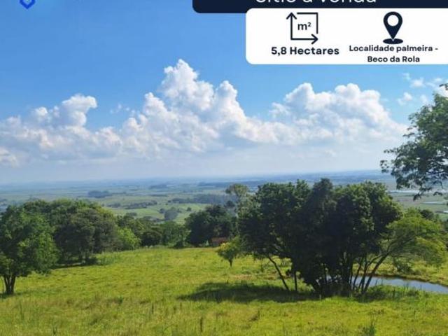 Chácara/sítio/fazenda, Palmeira Beco da Rola, Santo Antônio da Patrulha, RS