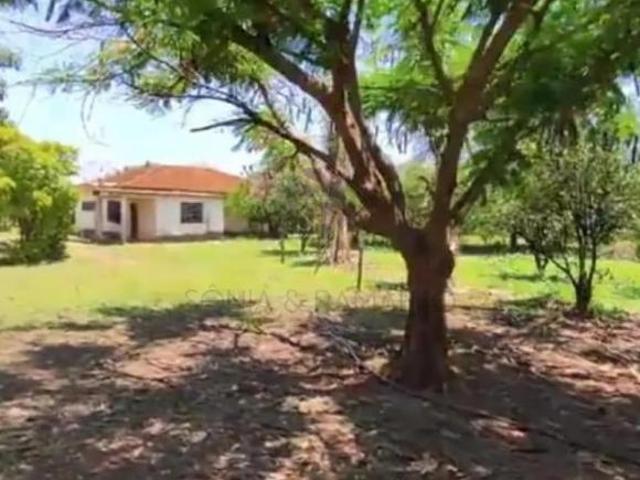 Chácaras/Imóveis Rurais Padrão em Guatapará