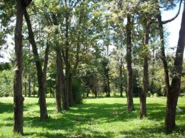 Chácaras/Imóveis Rurais RanchoSítio em Ribeirão Preto