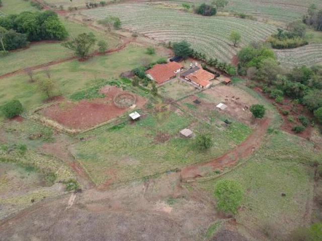 Chácaras/Imóveis Rurais RanchoSítio em São Simão
