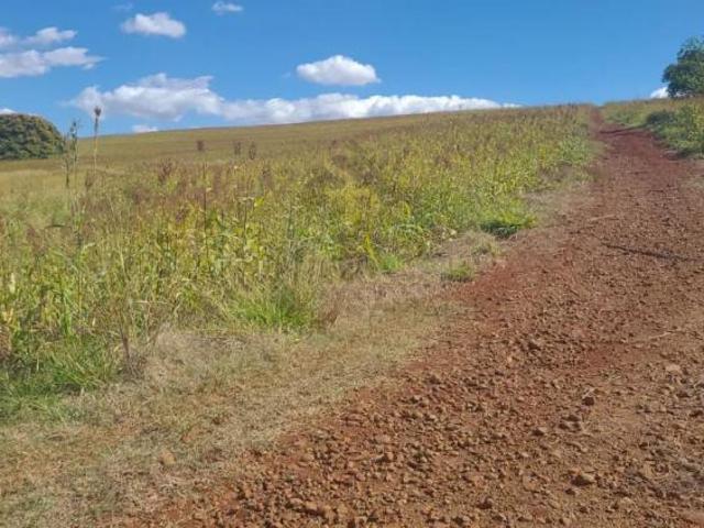 Chácaras/Imóveis Rurais RanchoSítio em São Simão
