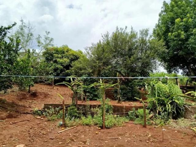 Chácaras/Imóveis Rurais RanchoSítio em Santo Antônio da Alegria