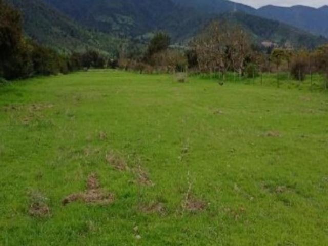 CHACARILLAS